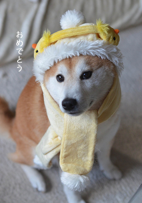 31日ブログ3