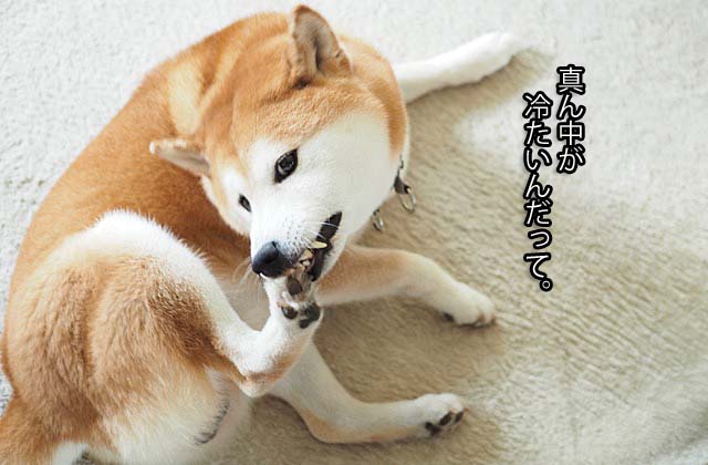 11日ブログ7