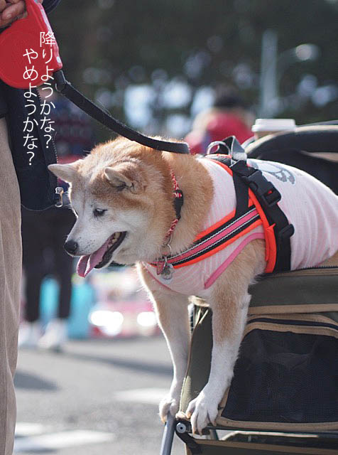 13日ブログ11