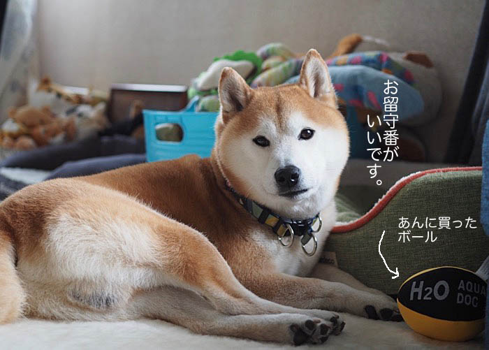 14日ブログ１１