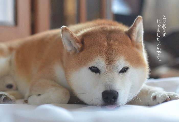 31日ブログ5