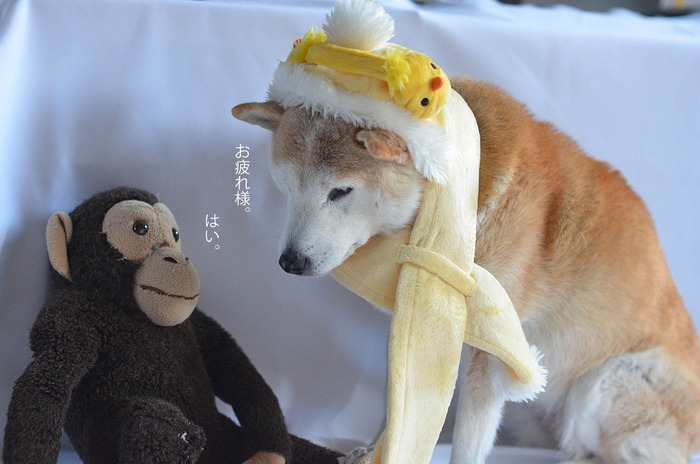 30日ブログ6