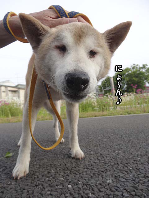 18日ブログ4