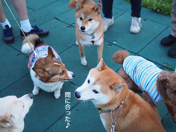 7日ブログ６