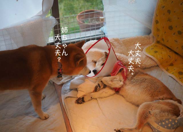 7日ブログ5