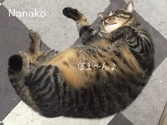 9日ブログ7