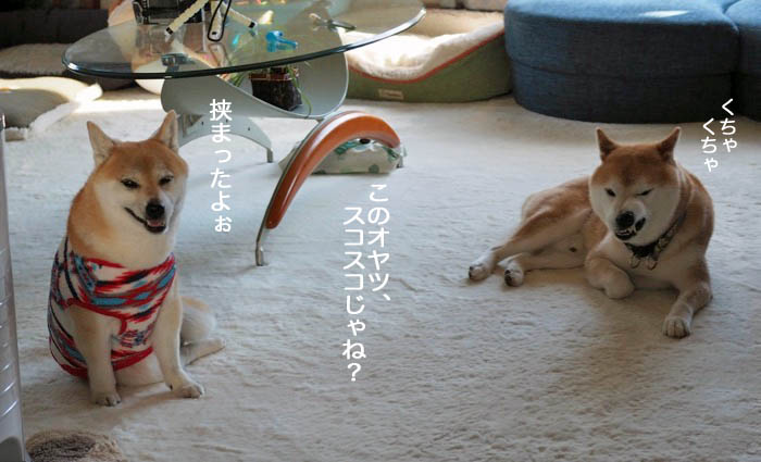 24日ブログ４