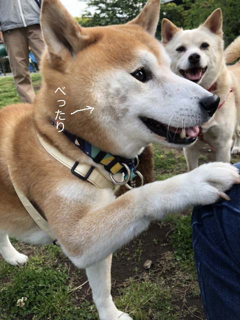 14日ブログ5