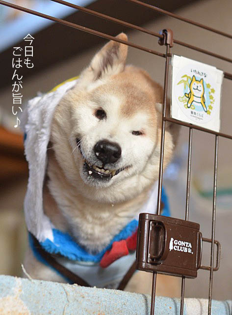18日ブログ7