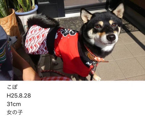 2日ブログ４