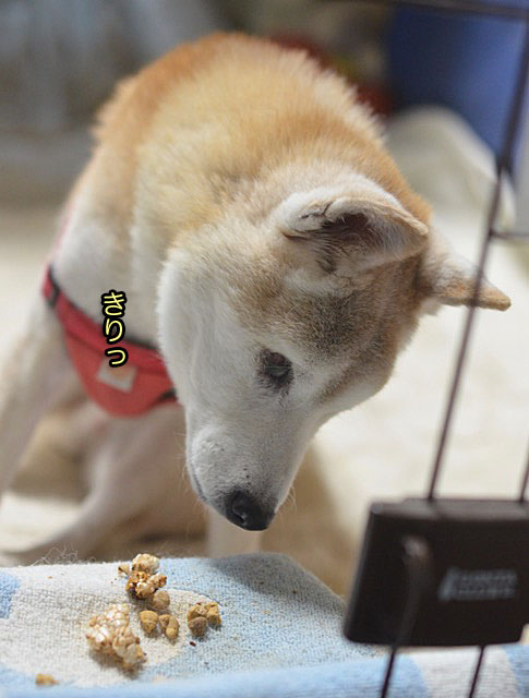 1日ブログ14