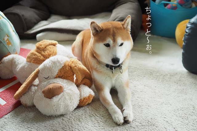 4日ブログ10