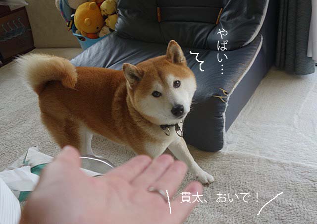 6日ブログ2