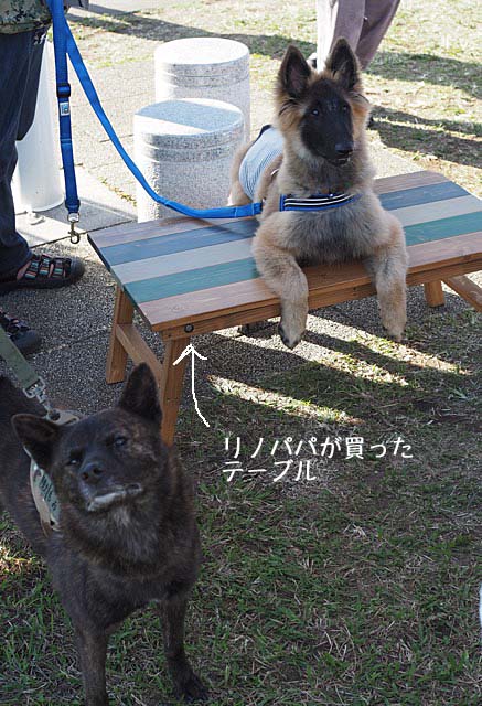 21日夜ブログ7