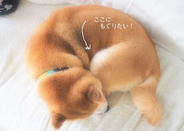 4日夜ブログ3
