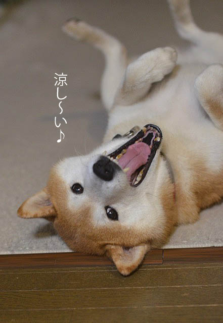 27日ブログ4