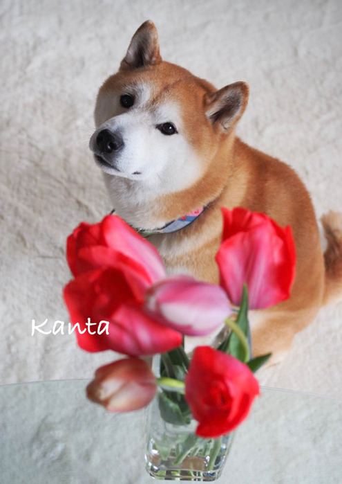 31日ブログ３