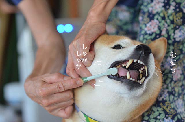 1日ブログ6