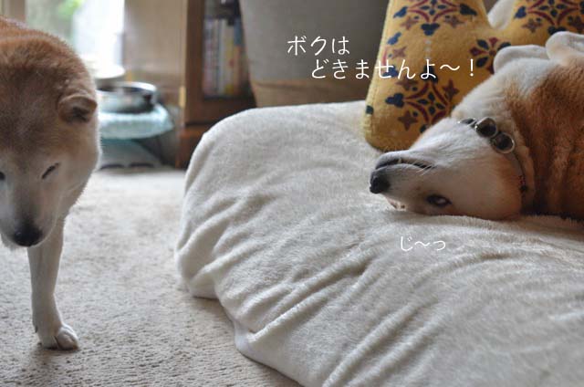 19日ブログ6