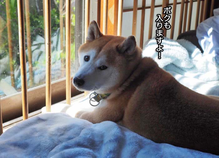 20日ブログ７