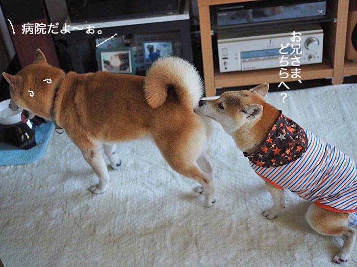 8日ブログ９
