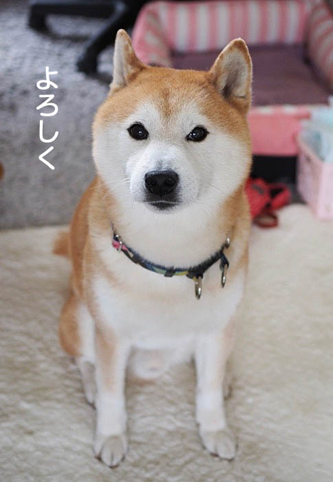 2日ブログ６