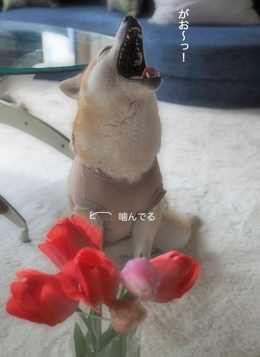 31日ブログ６