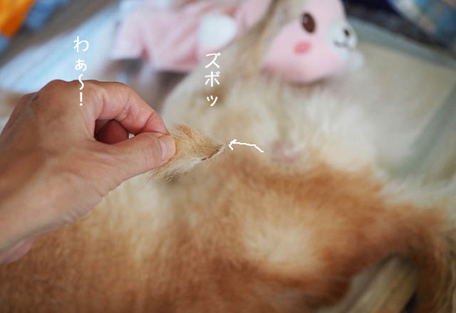 15日ブログ3
