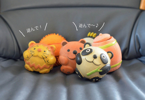 7日ブログ3