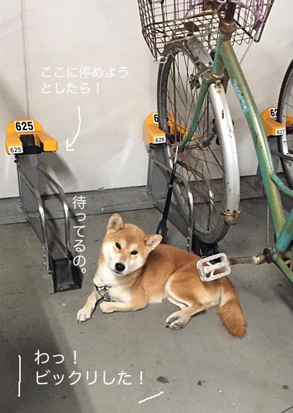 12日朝ブログ4