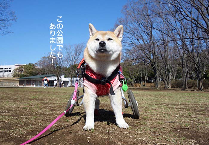 30日午後ブログ７