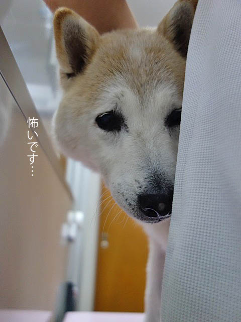 2日ブログ3