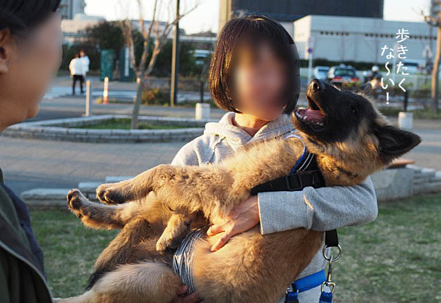 21日夜ブログ11