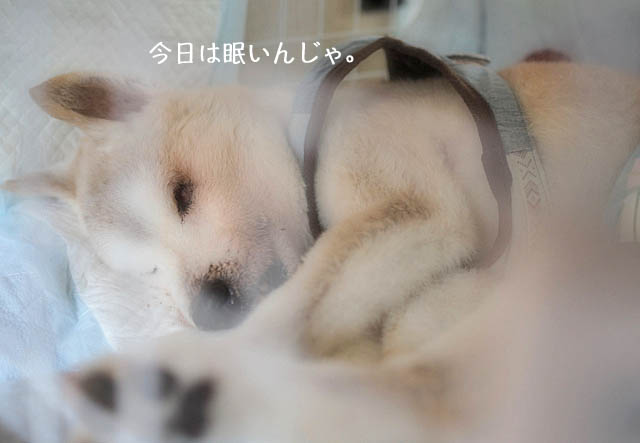 15日ブログ8