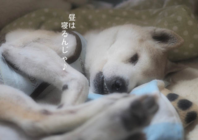 17日ブログ8