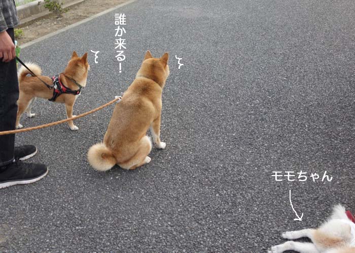 11日夕ブログ５