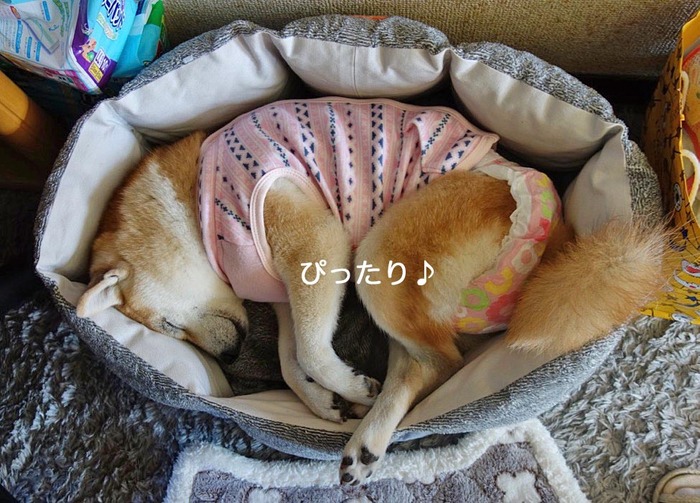 7日ブログ2