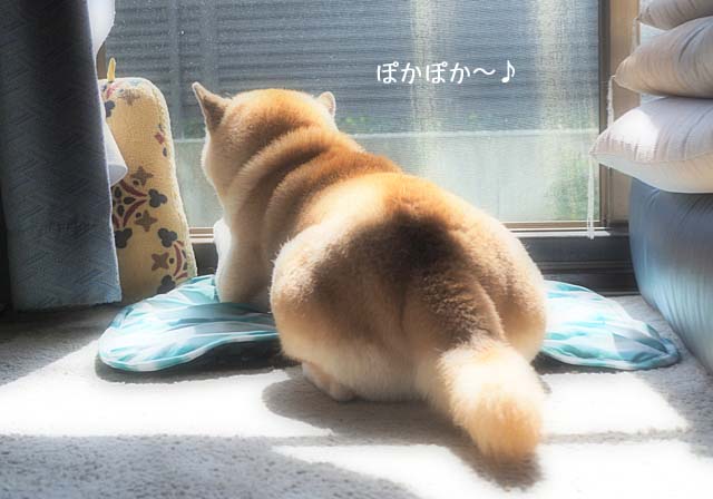6日ブログ9