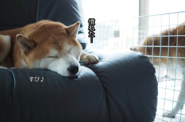 7日ブログ11