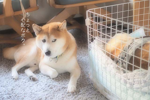 17日ブログ6