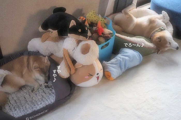 8日ブログ4