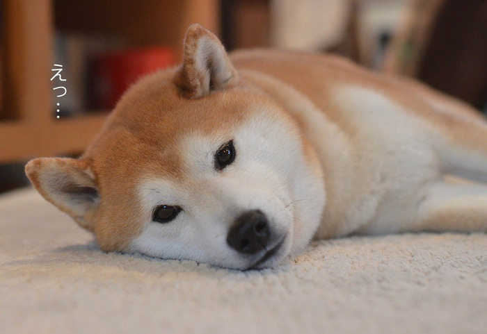 8日ブログ2