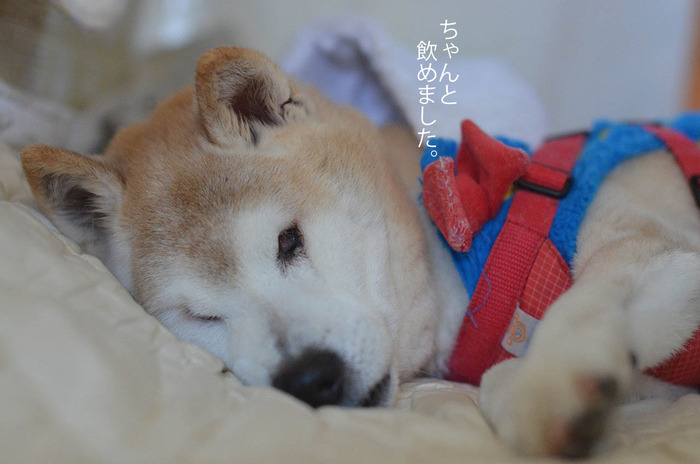 13日ブログ5