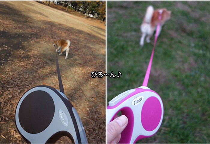 1日ブログ6