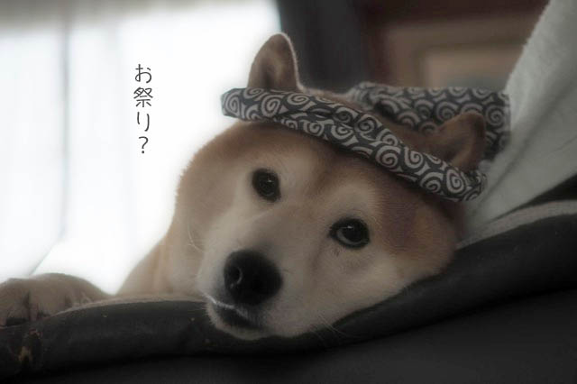 16日ブログ2