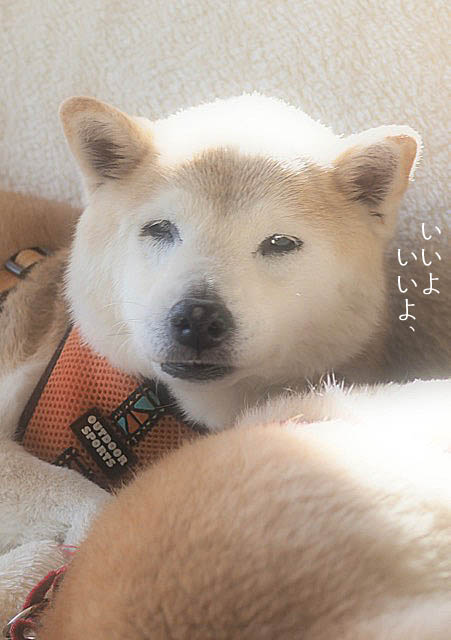 18日ブログ6