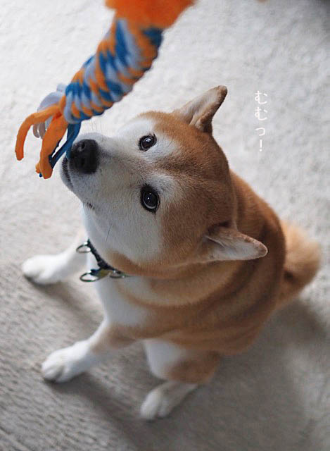 2日ブログ6