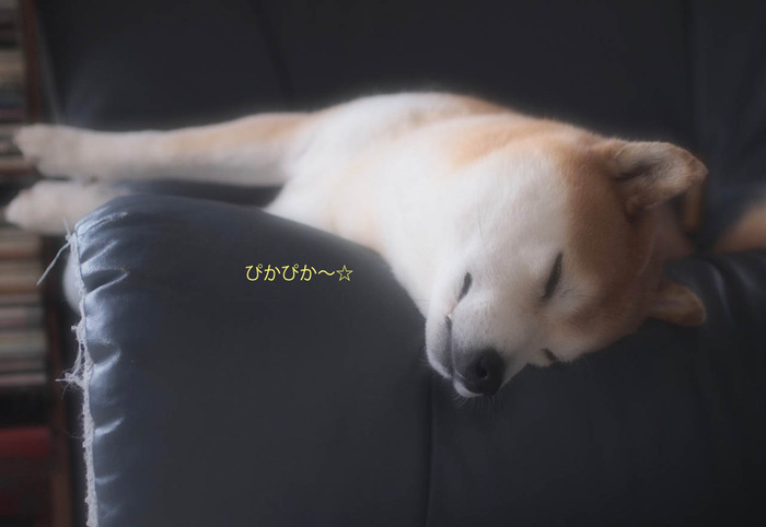 18日ブログ5