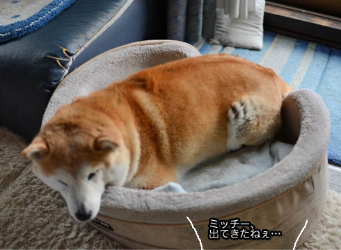 2日ブログ7.jpg