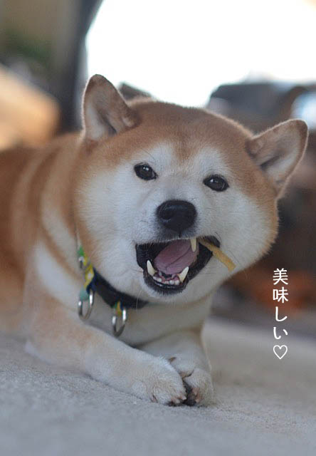 10日ブログ10